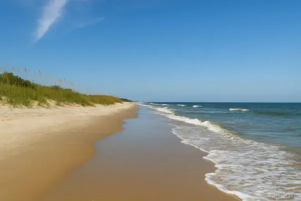 As Praias de Areia na Geórgia: Descubra o Litoral Mais Encantador do Sul dos EUA