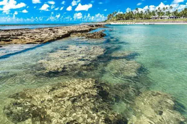 Descobrindo as principais praias de Pernambuco com piscinas naturais