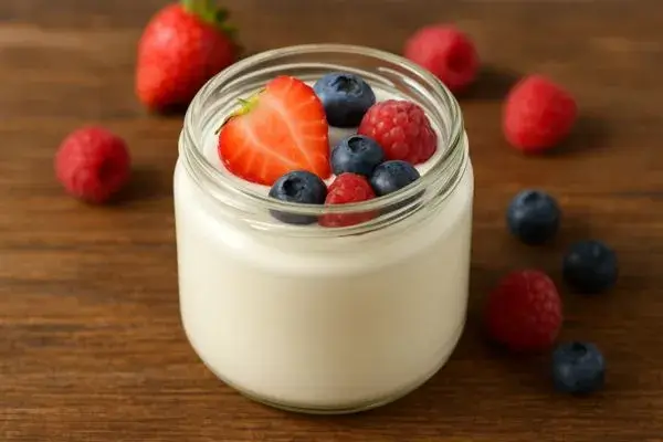 Iogurte Natural: Da Receita Caseira à Versatilidade na Cozinha