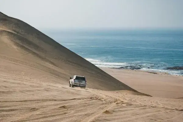 Descubra as Aventuras no Mar de Newport Beach