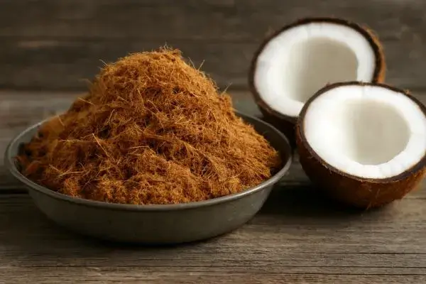 Sustentabilidade O Potencial do Bagaço do Coco como Biomassa Renovável