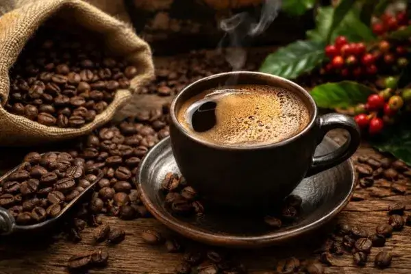 Descubra o Verdadeiro Sabor do Café Brasileiro